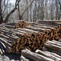 Red Cedar Fence Posts